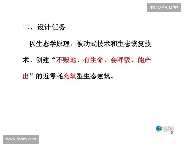 七大关键要素助你掌握在神秘荒岛中顽强生存的终极生存技巧 七大关键要素助你掌握在神秘荒岛中顽强生存的终极生存技巧